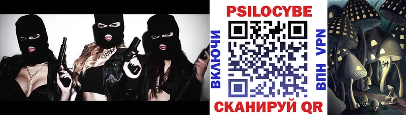 Псилоцибиновые грибы мицелий  Кимовск 